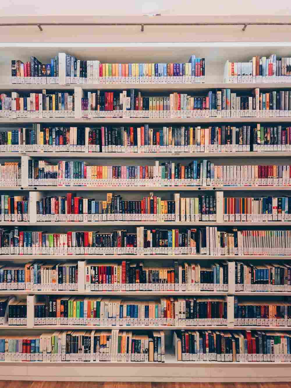 Traditional Publishing